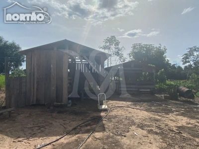 Casa, 5000 m² - Foto 4