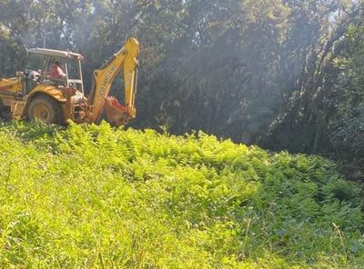 Chácara, 2 quartos, 7 hectares - Foto 4