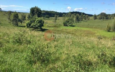 Terreno, 252 hectares - Foto 3