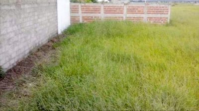 Terreno, 200 m² - Foto 2