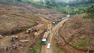 Fazenda, 12 hectares - Foto 2