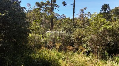 Terreno, 1120 m² - Foto 5