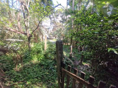 Terreno, 1508 m² - Foto 5
