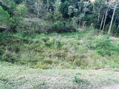 Terreno, 17 hectares - Foto 3