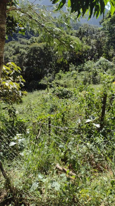 Terreno, 1050 m² - Foto 1