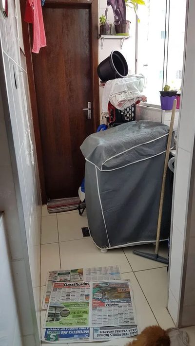 Apartamento, 3 quartos, 74 m² - Foto 3