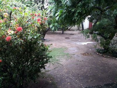 Sítio, 3 quartos, 1551 m² - Foto 2