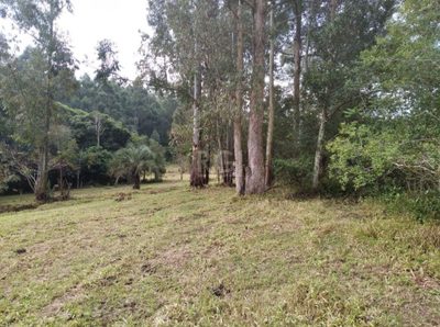 Terreno, 2500 m² - Foto 1