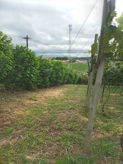 Prédio Inteiro, 13000 m² - Foto 2