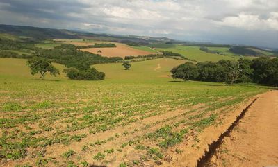 Fazenda, 339 hectares - Foto 3