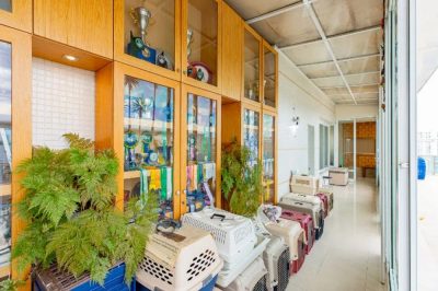 Apartamento, 4 quartos, 847 m² - Foto 3