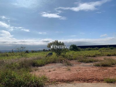Terreno, 2 hectares - Foto 4