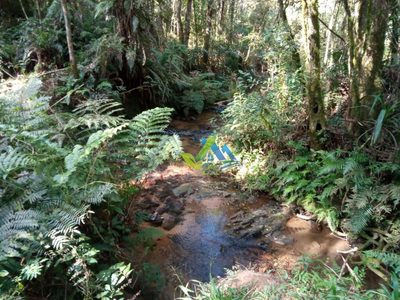 Chácara, 30 quartos, 9 hectares - Foto 4