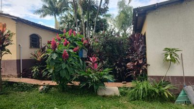 Chácara, 3 quartos, 2 hectares - Foto 4