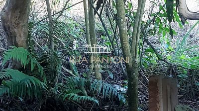 Sítio, 3 quartos, 38 hectares - Foto 3