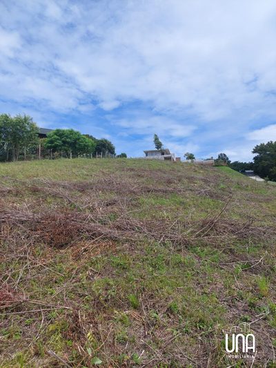 Terreno, 3600 m² - Foto 5