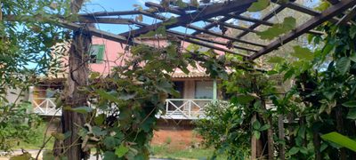Chácara, 2 quartos, 800 m² - Foto 3