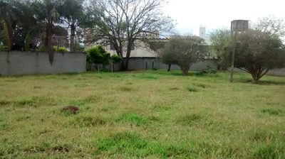 Terreno, 5 hectares - Foto 1
