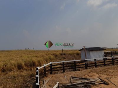 Terreno, 2 hectares - Foto 2