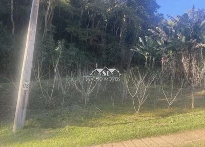Terreno, 3 hectares - Foto 3