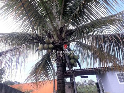 Chácara, 3 quartos, 1836 m² - Foto 5