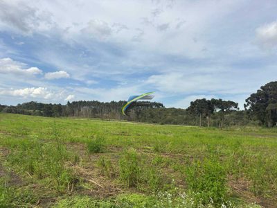 Chácara - Foto 2