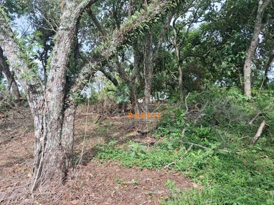 Loteamento e Condomínio, 1025 m² - Foto 4