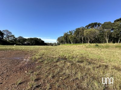 Terreno, 2 hectares - Foto 3
