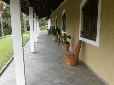 Sítio, 3 quartos, 5500 m² - Foto 5