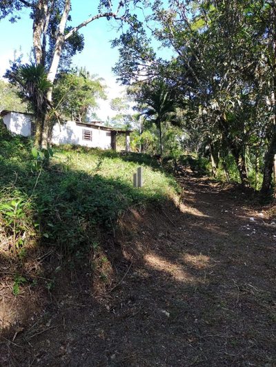 Chácara, 3 quartos, 3 hectares - Foto 3
