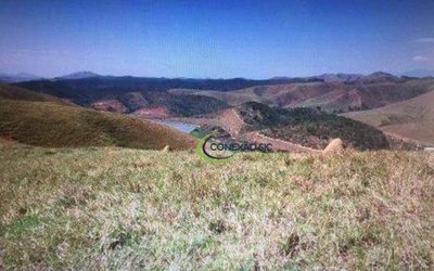 Fazenda, 242 hectares - Foto 4