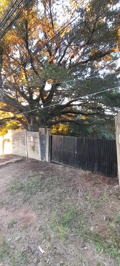 Terreno, 572 m² - Foto 4