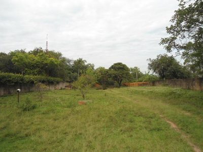 Chácara, 2 quartos, 1950 m² - Foto 3