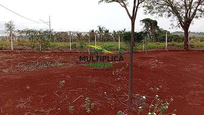 Depósito-Galpão - Foto 2
