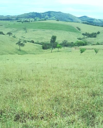 Fazenda, 220 hectares - Foto 5