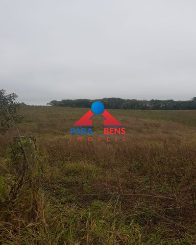 Terreno, 3000 m² - Foto 4