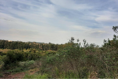 Terreno, 443 m² - Foto 5