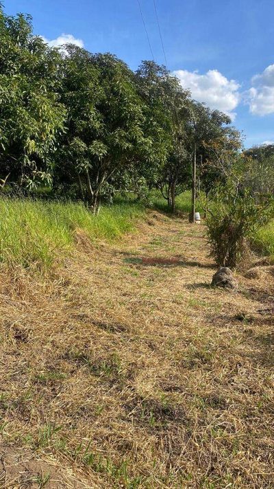 Terreno, 5000 m² - Foto 3
