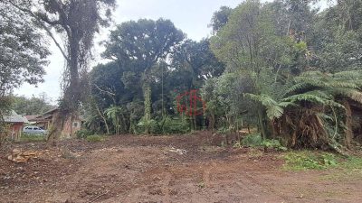 Terreno, 908 m² - Foto 2
