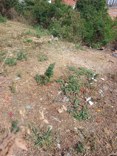 Terreno, 360 m² - Foto 2