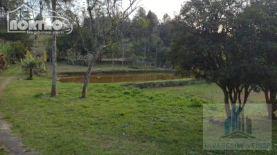 Casa, 4 quartos, 5000 m² - Foto 3