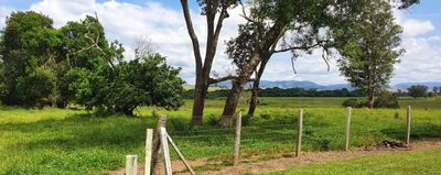 Terreno, 100 hectares - Foto 2