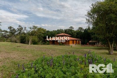 Sítio, 4 quartos, 6650 m² - Foto 5