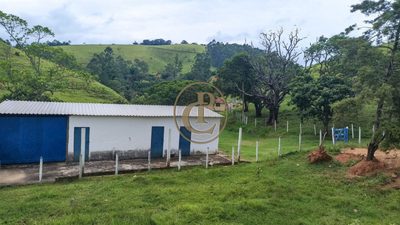 Sítio, 1 quarto, 200 m² - Foto 3