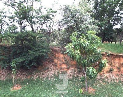 Terreno, 2283 m² - Foto 5