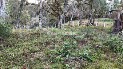 Terreno, 1030 m² - Foto 5