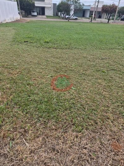 Loteamento e Condomínio, 416 m² - Foto 4