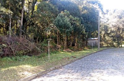 Terreno, 4049 m² - Foto 1