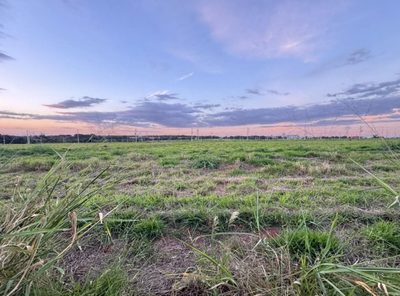 Terreno, 1000 m² - Foto 5