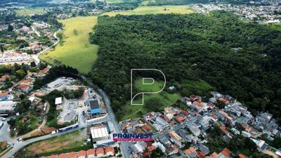 Terreno, 9 hectares - Foto 4